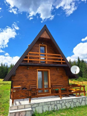 House Bojana